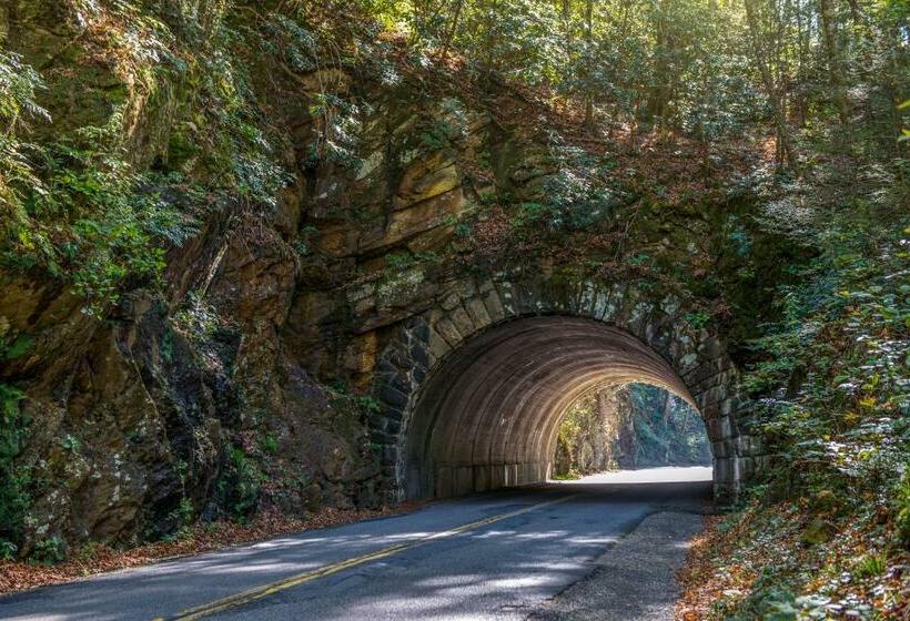 إستوديو قياسى, Misty View Cabin