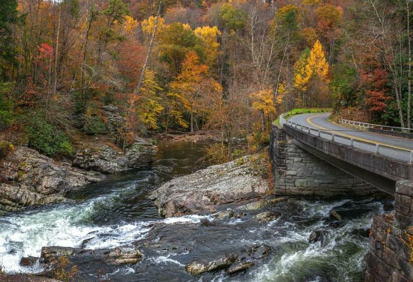 إستوديو قياسى, Misty View Cabin