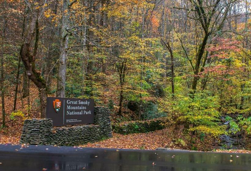 إستوديو قياسى, Misty View Cabin