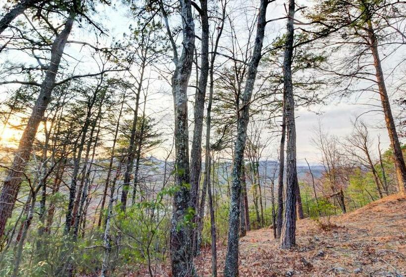 إستوديو قياسى, Misty View Cabin