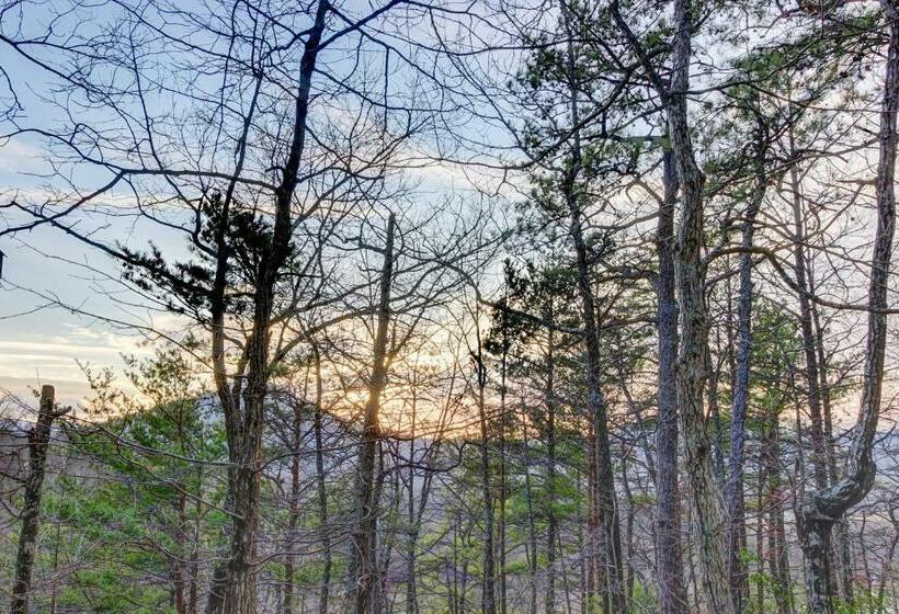 إستوديو قياسى, Misty View Cabin