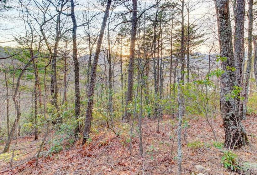 إستوديو قياسى, Misty View Cabin