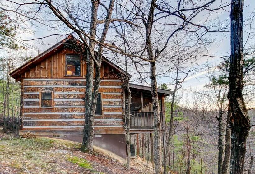 标准工作室, Misty View Cabin