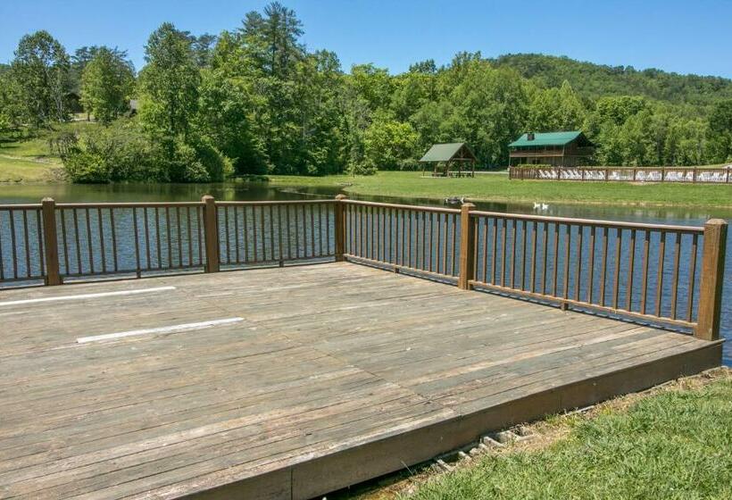 إستوديو قياسى, Misty View Cabin