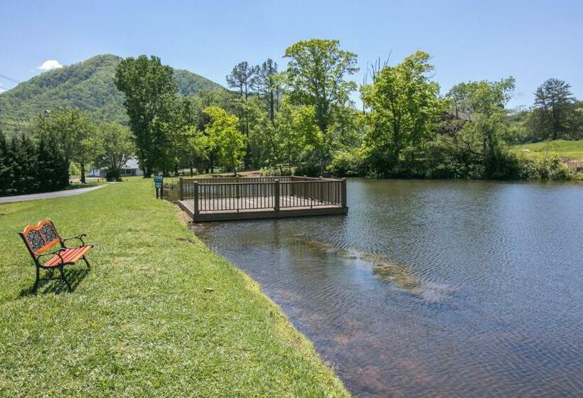 إستوديو قياسى, Misty View Cabin