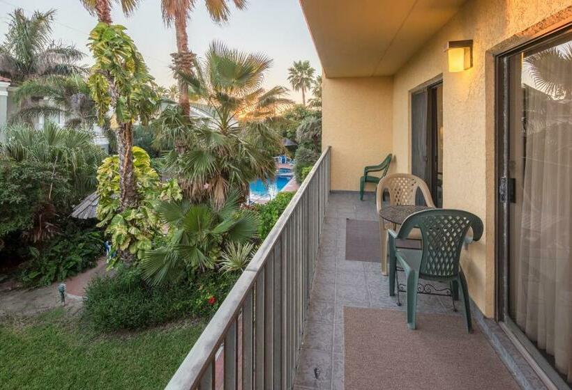 침실 2개 아파트, Ventura #202