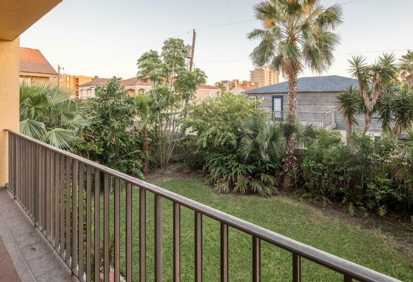 침실 2개 아파트, Ventura #202