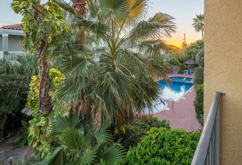 침실 2개 아파트, Ventura #202