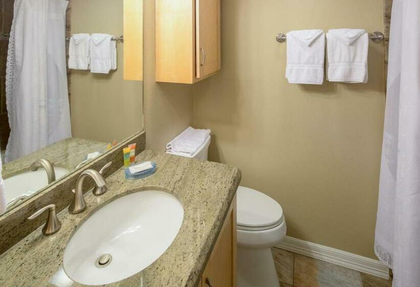 침실 2개 아파트, Ventura #202