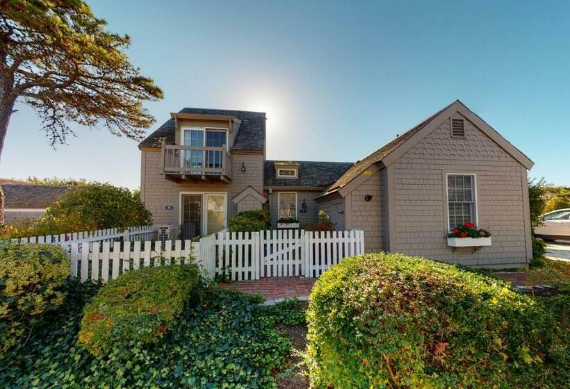 ２ベッドルームアパートメント, Hammock Hideaway