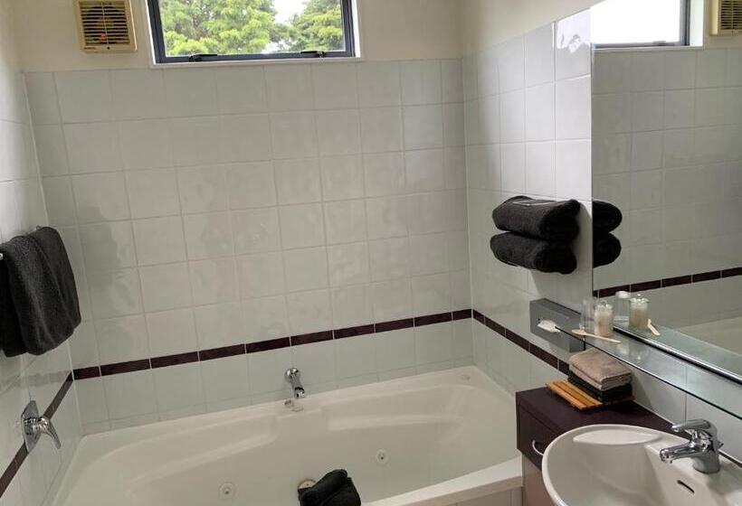 수피리어 스위트, Academy Motor Inn