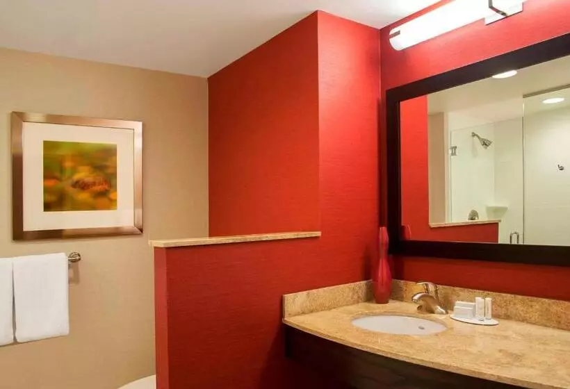 اتاق استاندارد با چشم‌انداز شهر, Courtyard Peoria Downtown