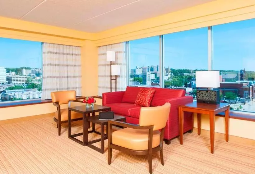 سوئیت با تخت بزرگ, Courtyard Peoria Downtown