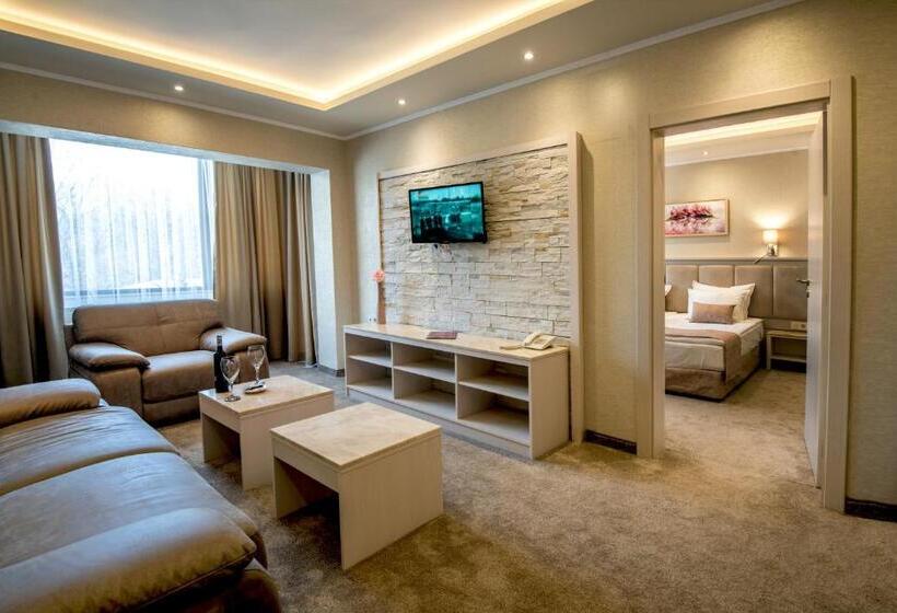 带1个卧室的高级公寓, Spa Hotel Armira