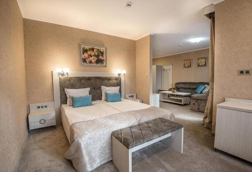 高级工作室, Spa Hotel Armira