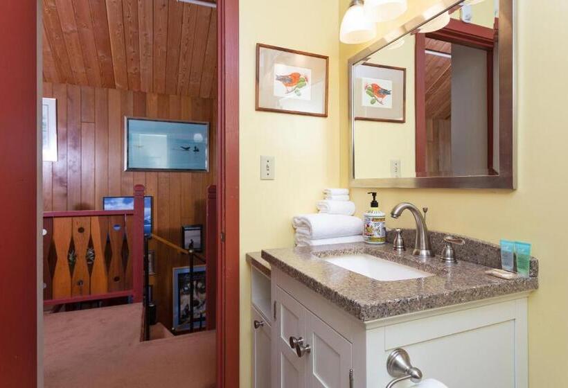 شقة غرفة واحدة, East Condo #208