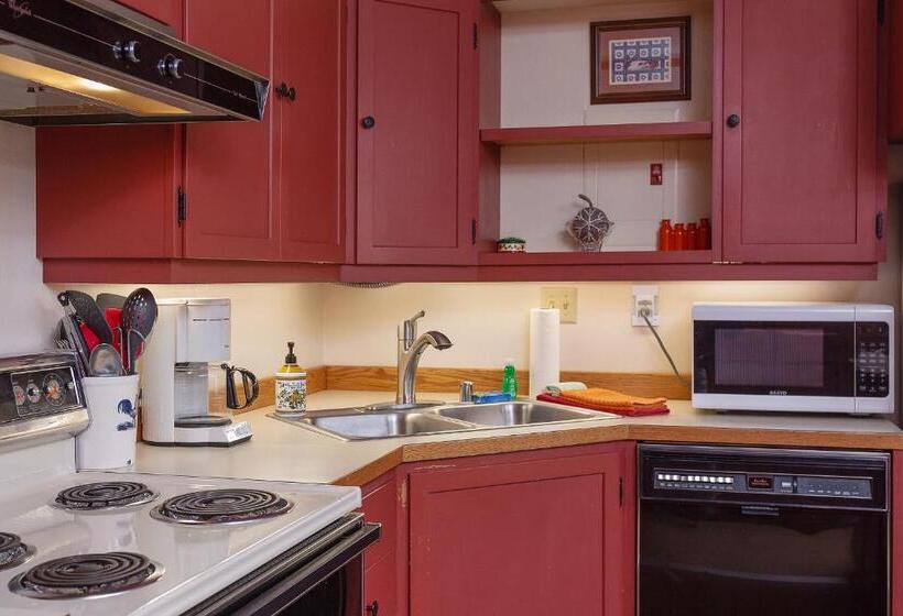 شقة غرفة واحدة, East Condo #208