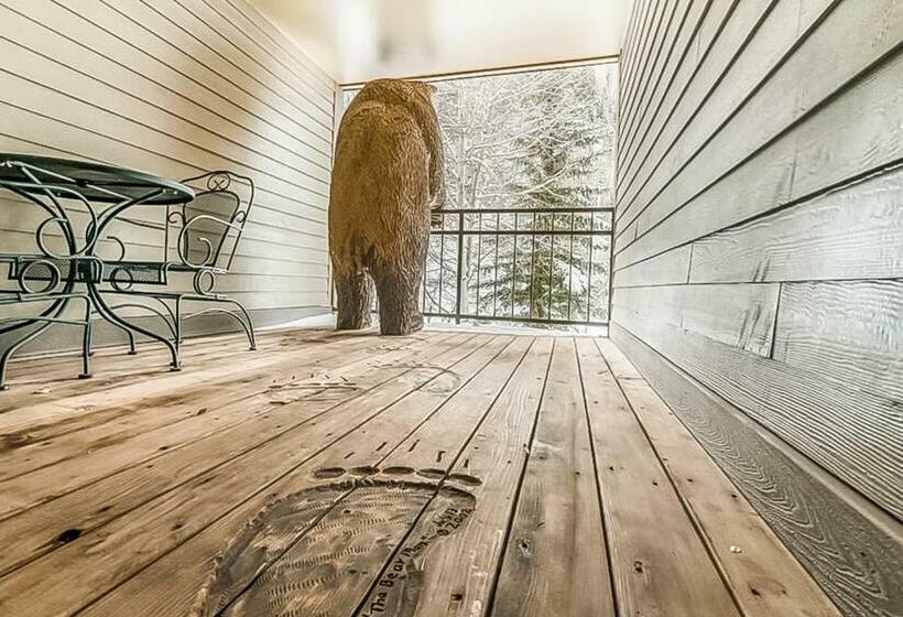 带3个卧室的公寓, Cimarron Mountain Retreat