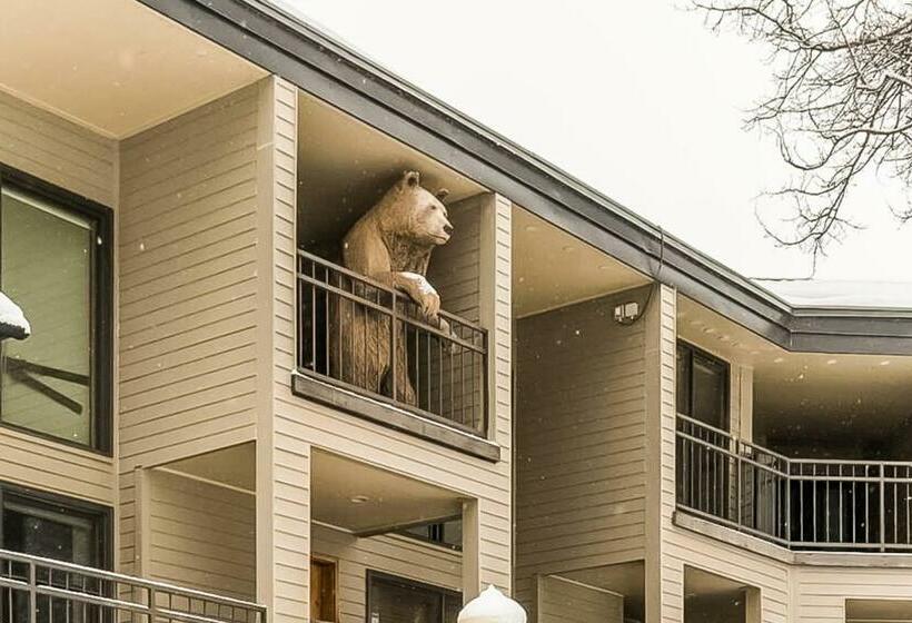 带3个卧室的公寓, Cimarron Mountain Retreat