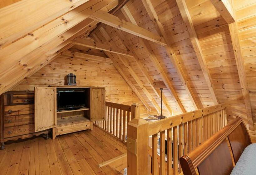 标准工作室, City Escape