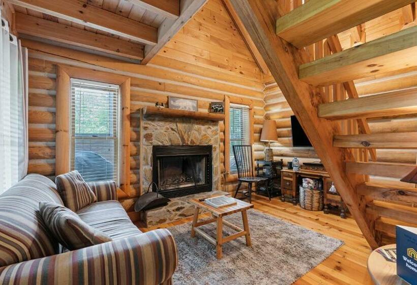 标准工作室, City Escape