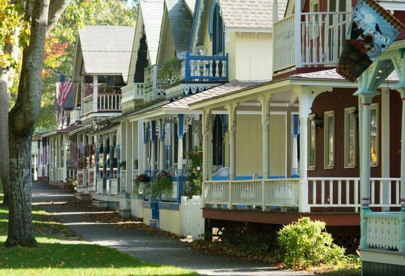Студия Стандарт, Treetop