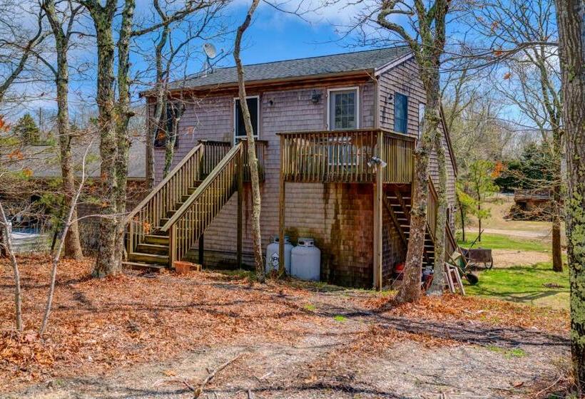 Студия Стандарт, Treetop