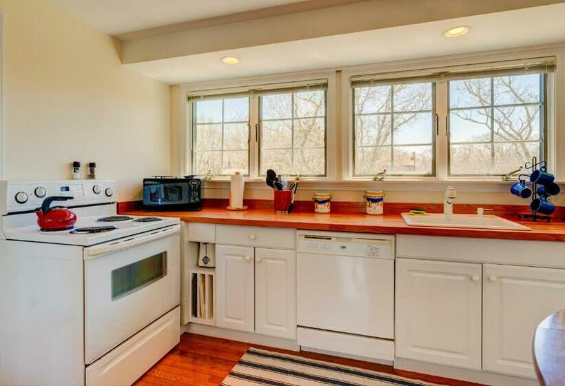 Студия Стандарт, Treetop