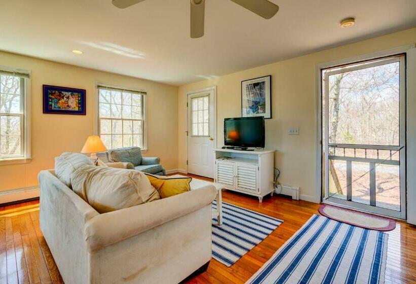 Студия Стандарт, Treetop