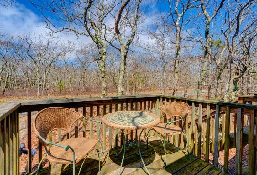 Студия Стандарт, Treetop