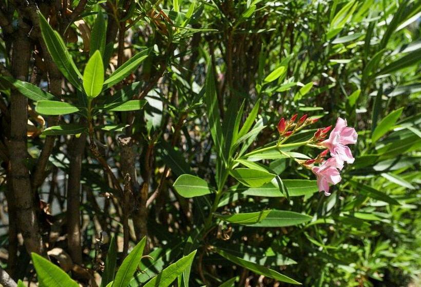 آپارتمان 2 خوابه, Village Manor A12