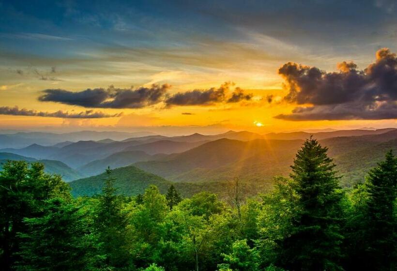 شقة غرفتين, North Star Manor