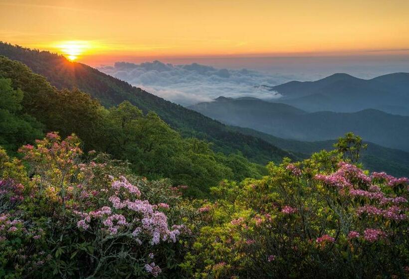 شقة غرفتين, North Star Manor