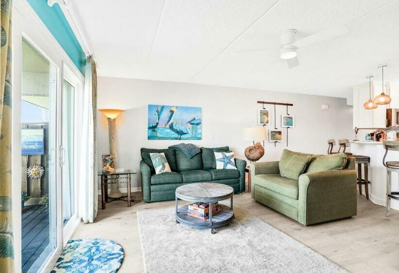 شقة غرفة واحدة, Life Is But A Dream