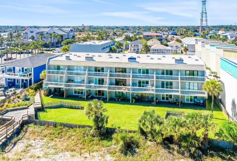 شقة غرفة واحدة, Life Is But A Dream