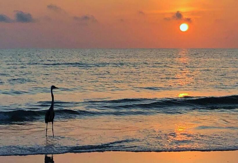 침실 2개 아파트, Reflections On The Gulf 505