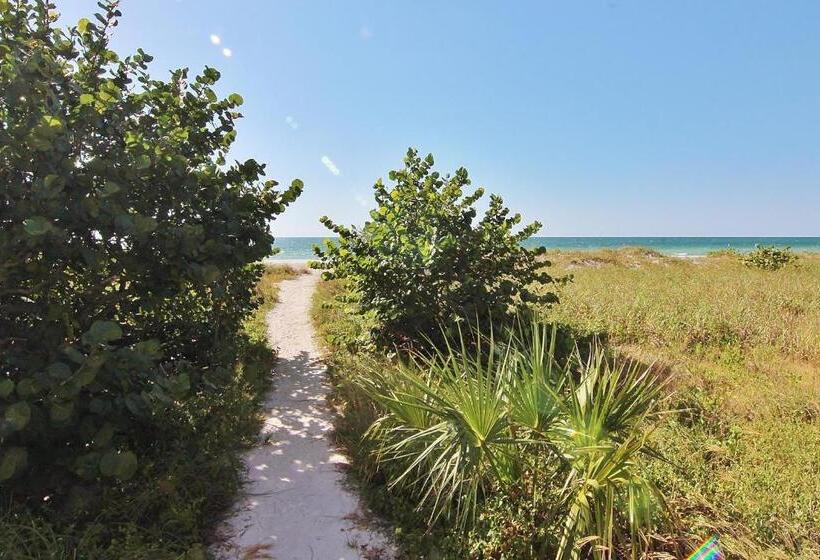 شقة غرفتين, Reflections On The Gulf 505