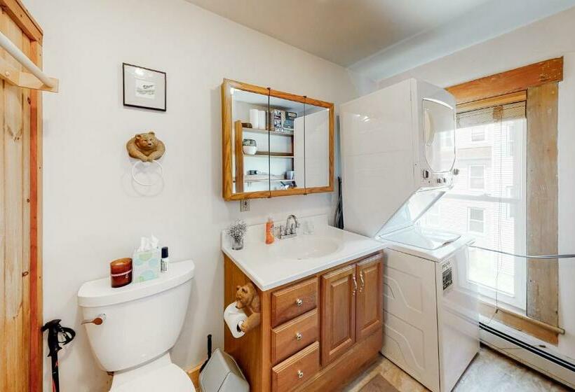 带2个卧室的公寓, Proctorsville Paradise