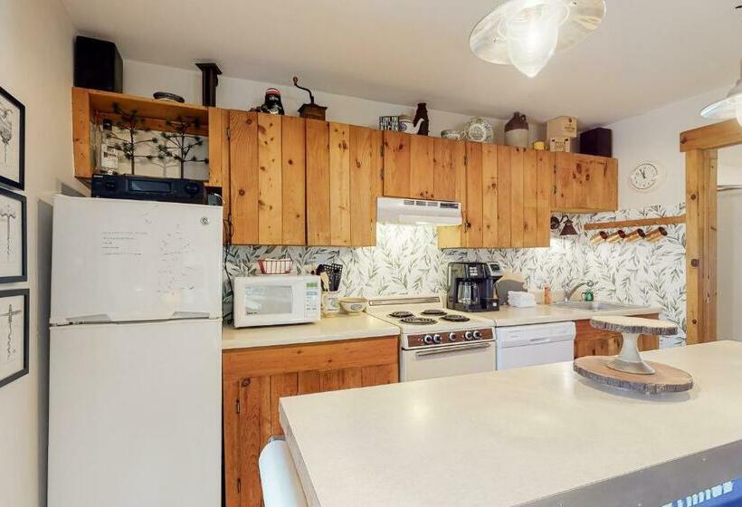 带2个卧室的公寓, Proctorsville Paradise