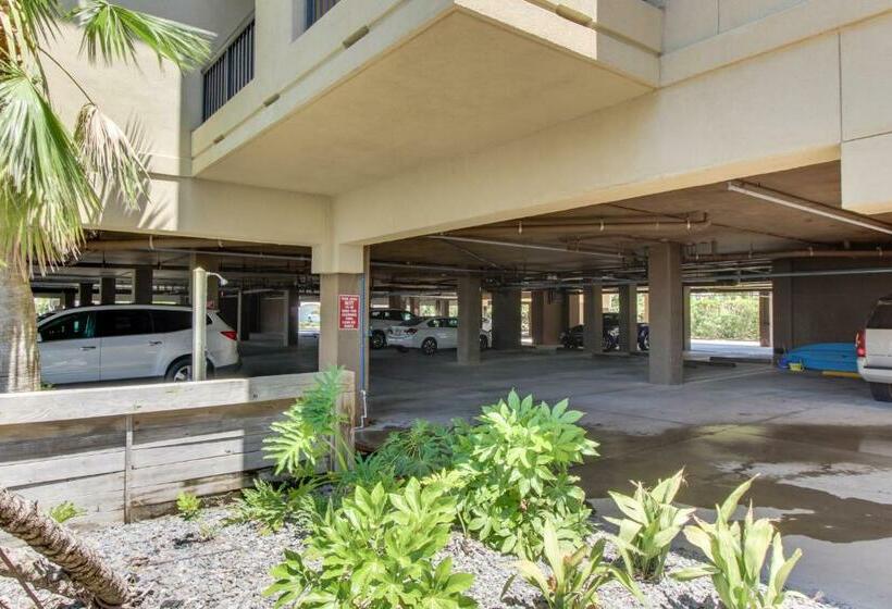 شقة غرفتين, Renovar At The Club