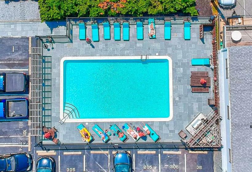 Апартаменты 1 Спальня, Town Of Dewey Beach    The Opal #306s