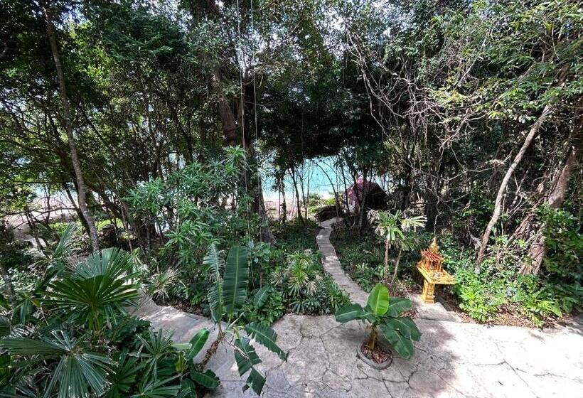 מיטה בחדר משותף, Kamaku Bungalows