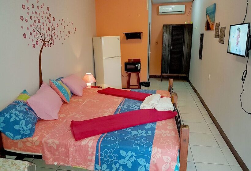 اتاق استاندارد, Apartamentos Cecil Paradise