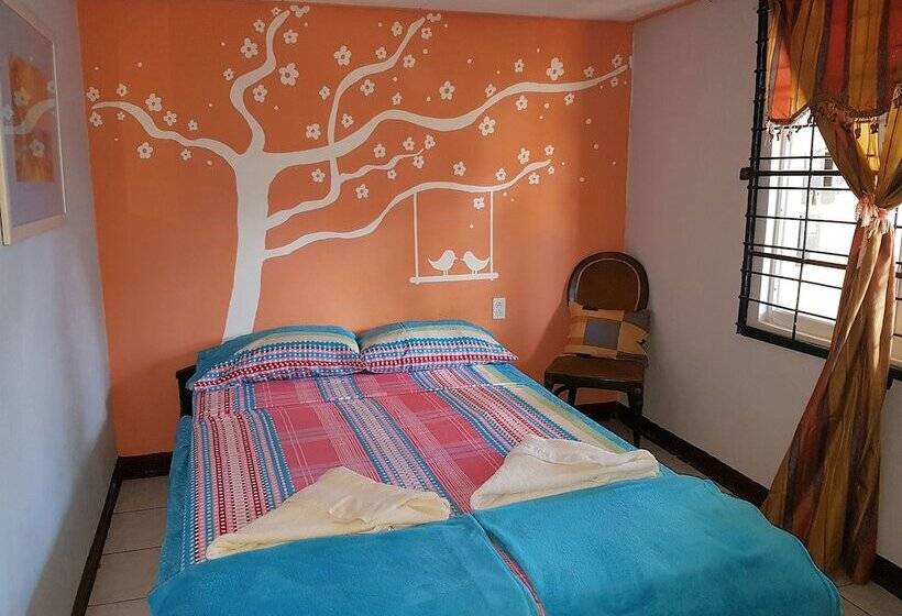 استودیوی استاندارد, Apartamentos Cecil Paradise