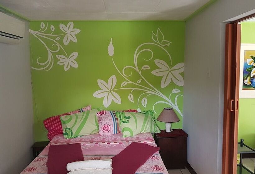 استودیوی استاندارد, Apartamentos Cecil Paradise