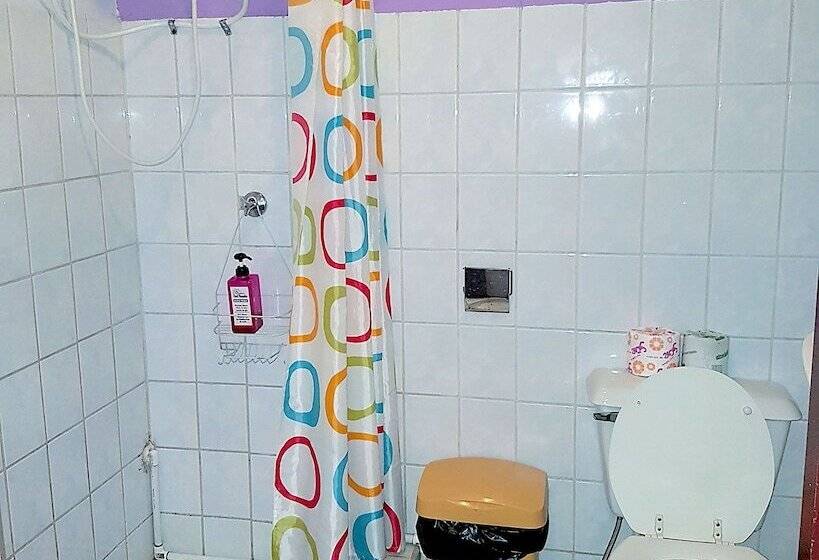 اتاق استاندارد چهار تخته, Apartamentos Cecil Paradise