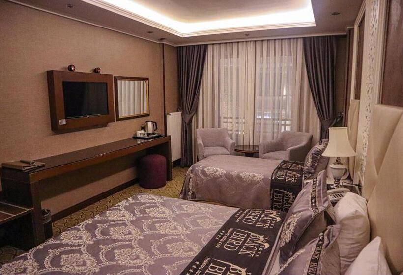 اتاق استاندارد, Black Bird Thermal Hotel & Spa