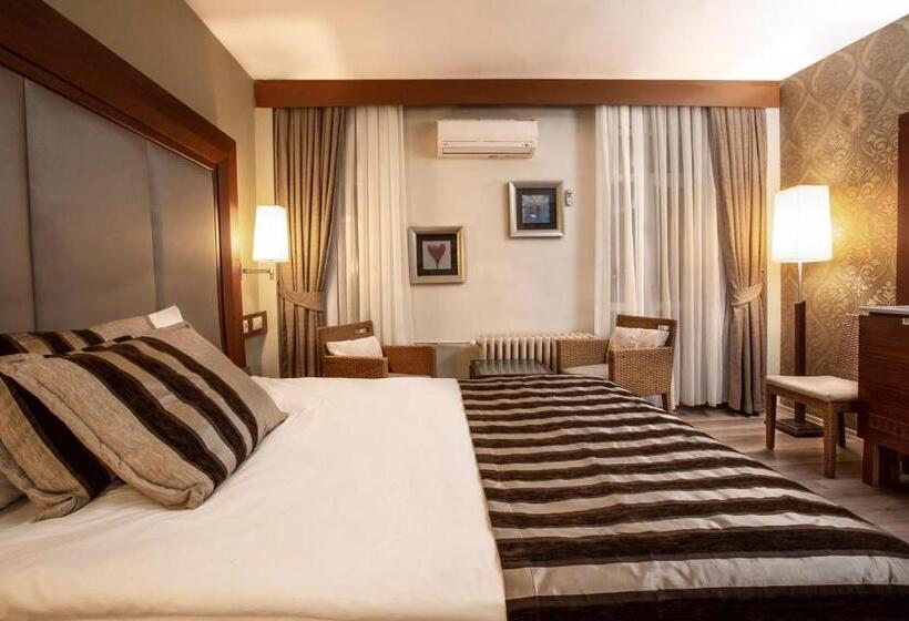 スタンダードシングルルーム, Grand Terme