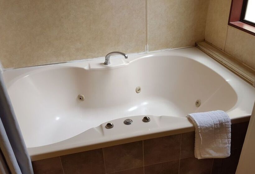 Студия Стандарт, Ace Motor Lodge