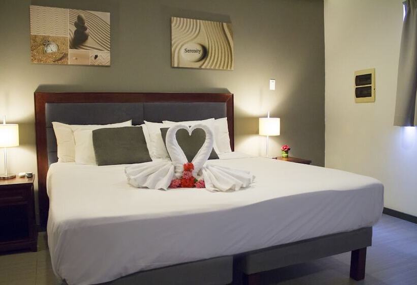 استودیو کامفورت, Curacao Suites